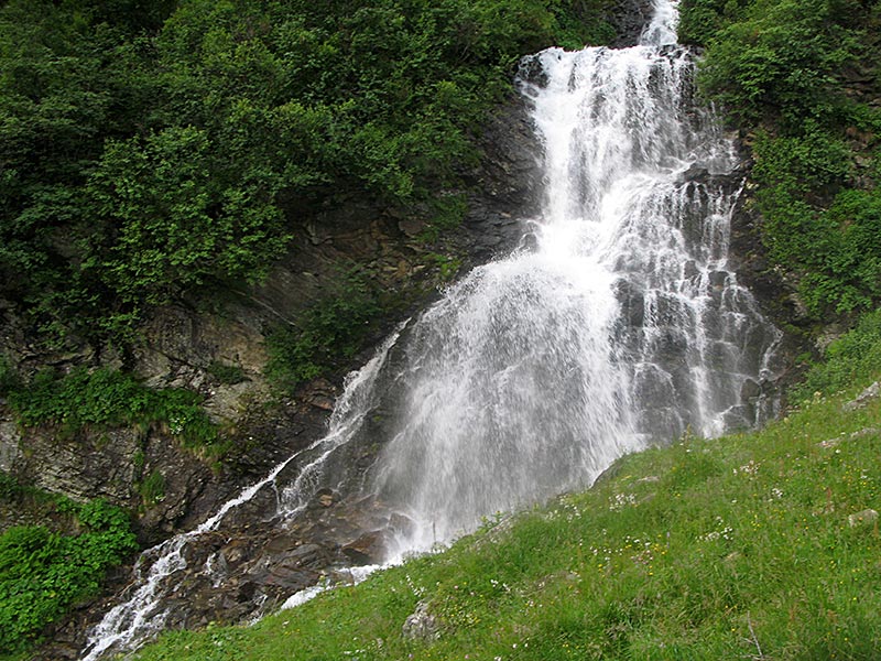 wildenkogel